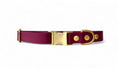 Charger l'image dans la visionneuse de la galerie, Collier Bordeaux - Biothane
