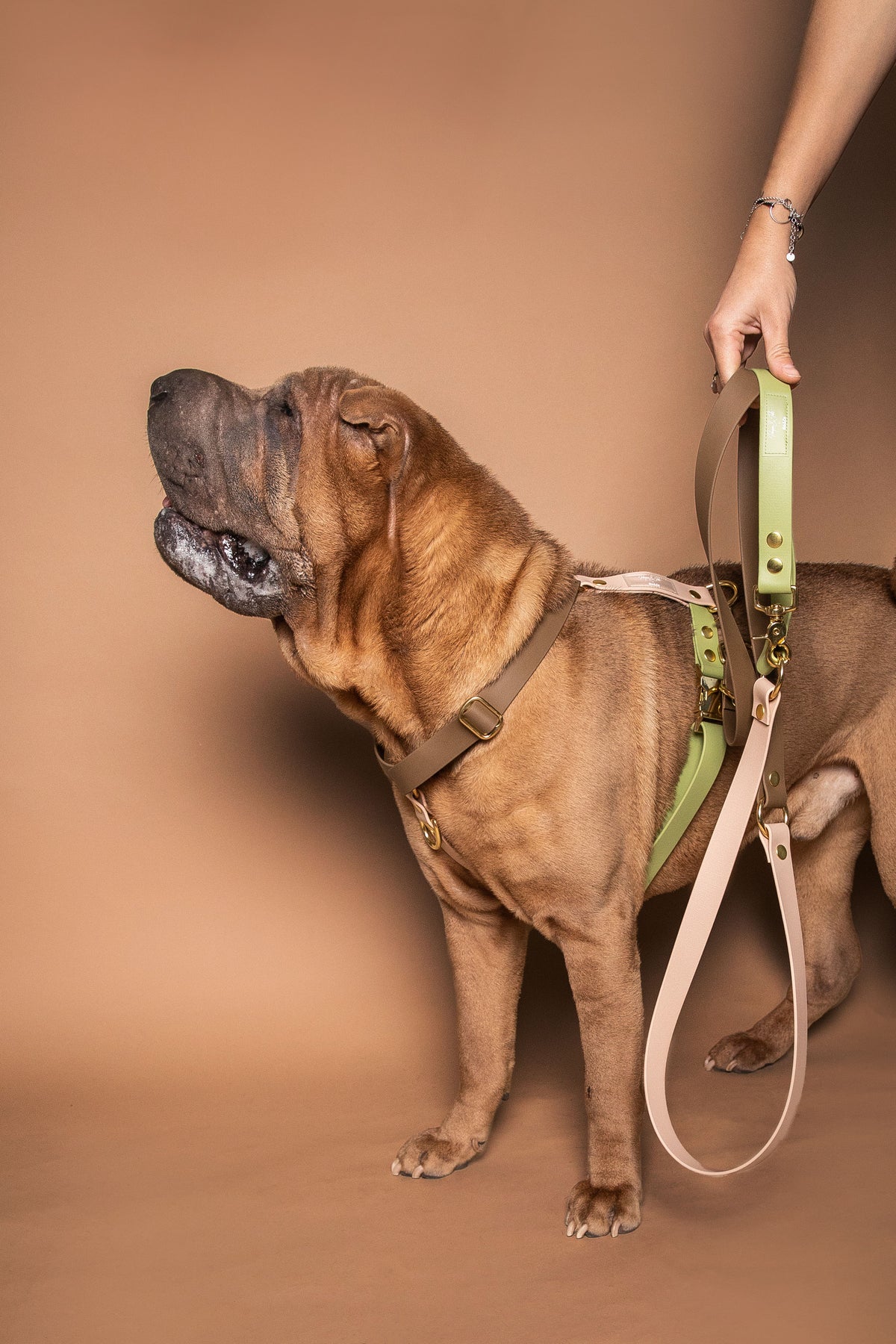 Laisse Multi-positions Rio&Co x Pompon&Pets