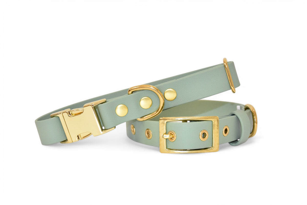 Collier Vert d'eau - Biothane