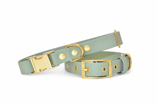 Seafoam Collar - Biothane