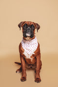Charger l'image dans la visionneuse de la galerie, Bandana Pompon&Pets

