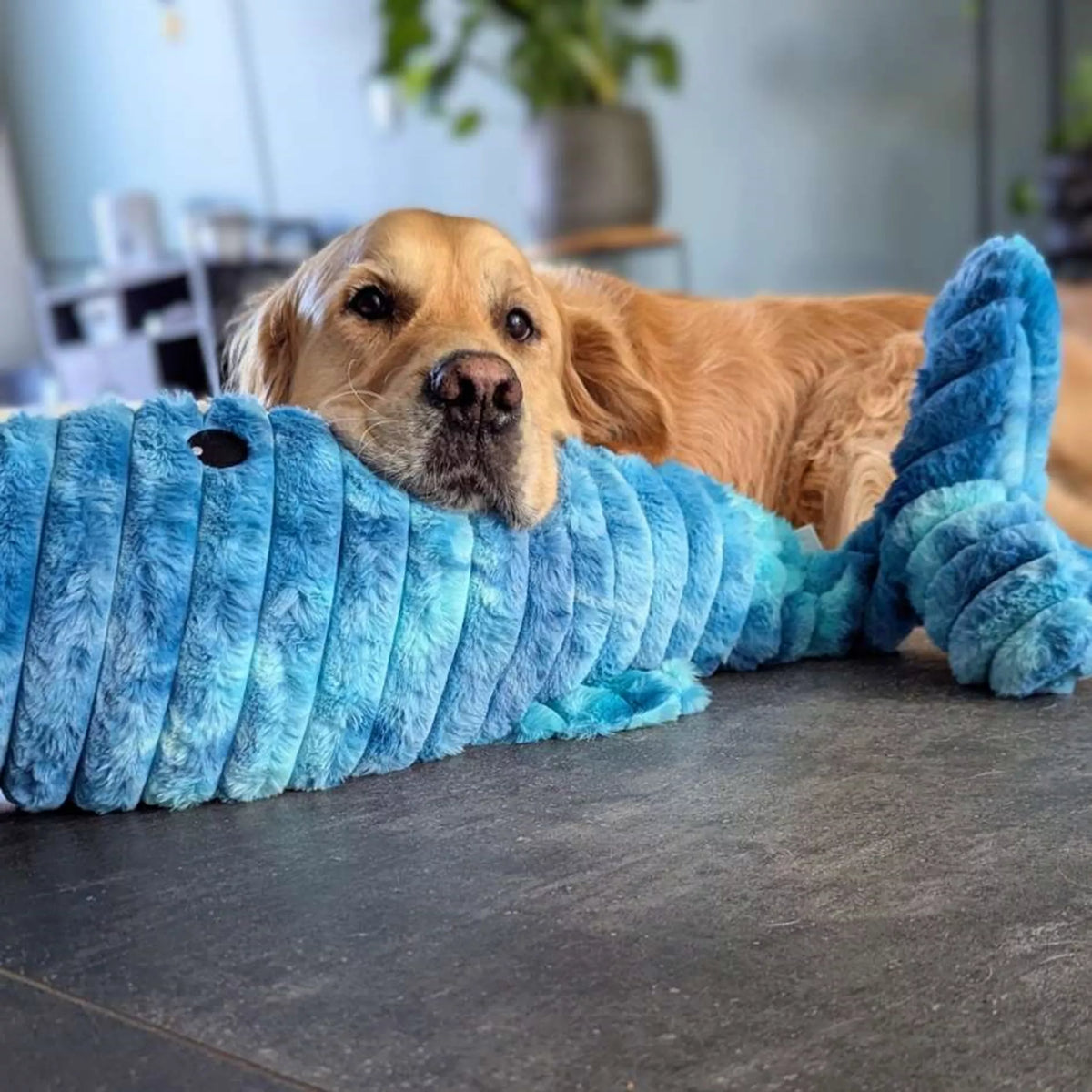 Whale XXL - 91 cm