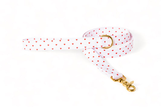 Laisse Pompon&Pets - tissu imperméable