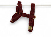 Harnais Teddy Bordeaux - tissu douceur