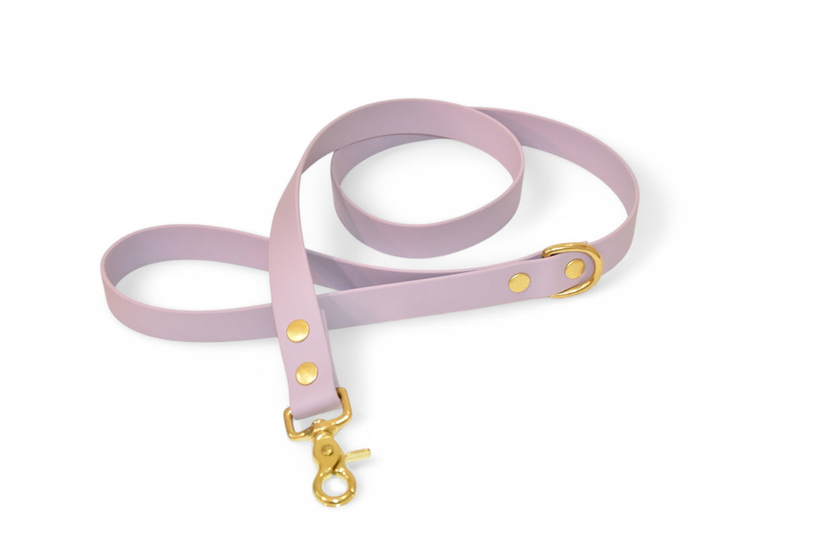Laisse Lilas - Biothane