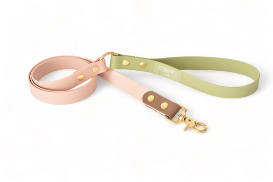 Laisse fixe Rio&Co x Pompon&Pets