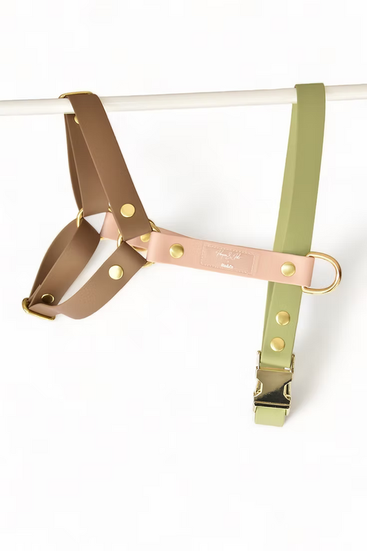 Harnais Rio&Co x Pompon&Pets