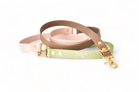 Laisse Multi-positions Rio&Co x Pompon&Pets