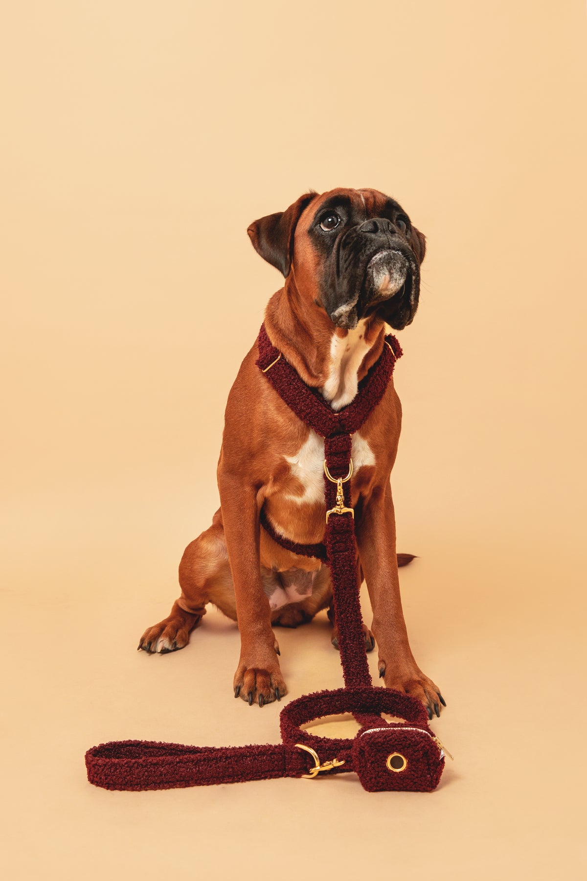 Laisse Teddy Bordeaux - tissu douceur