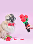 Load image into the gallery viewer, Rose Bouquet
