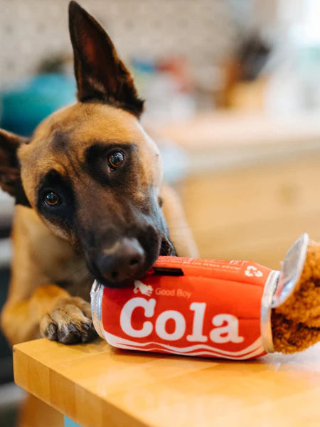 Canette Cola