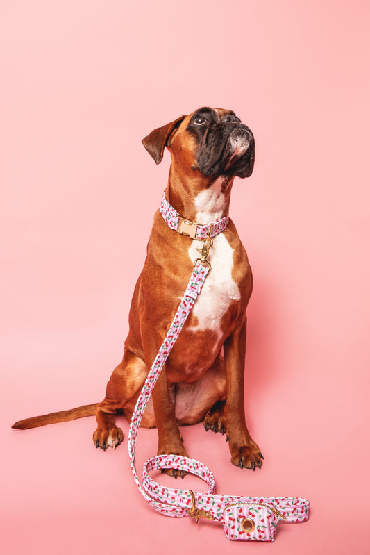 Cherry Leash - waterproof fabric