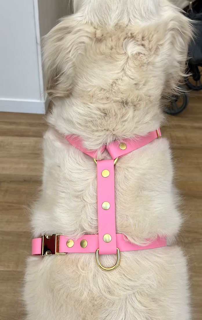 Harnais rose bonbon - Biothane