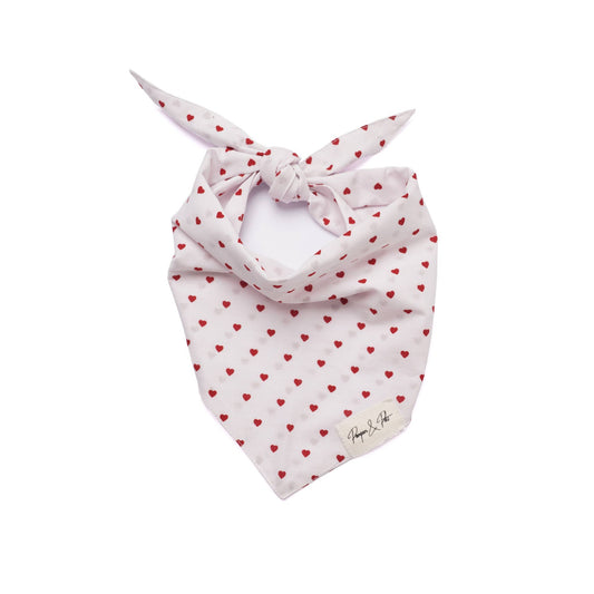 Bandana Pompon&Pets