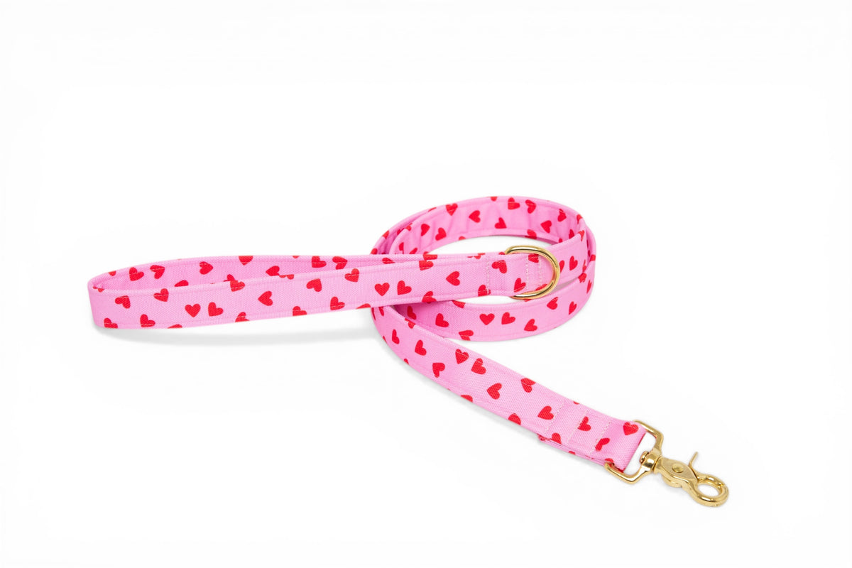 Amore Leash - waterproof fabric