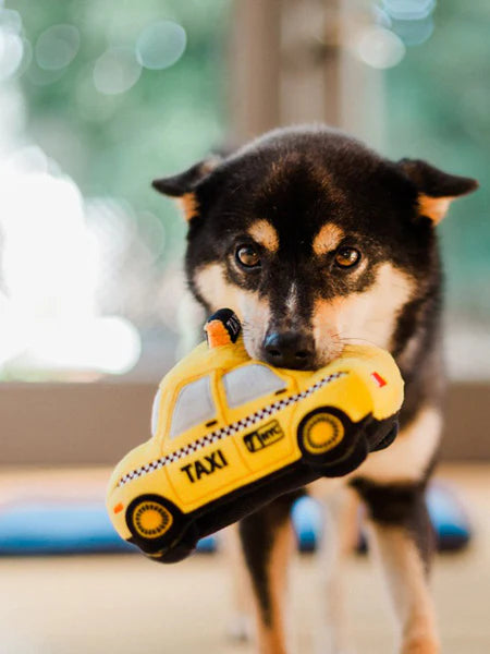 Taxi