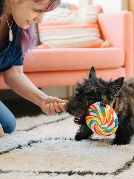 Lollipop
