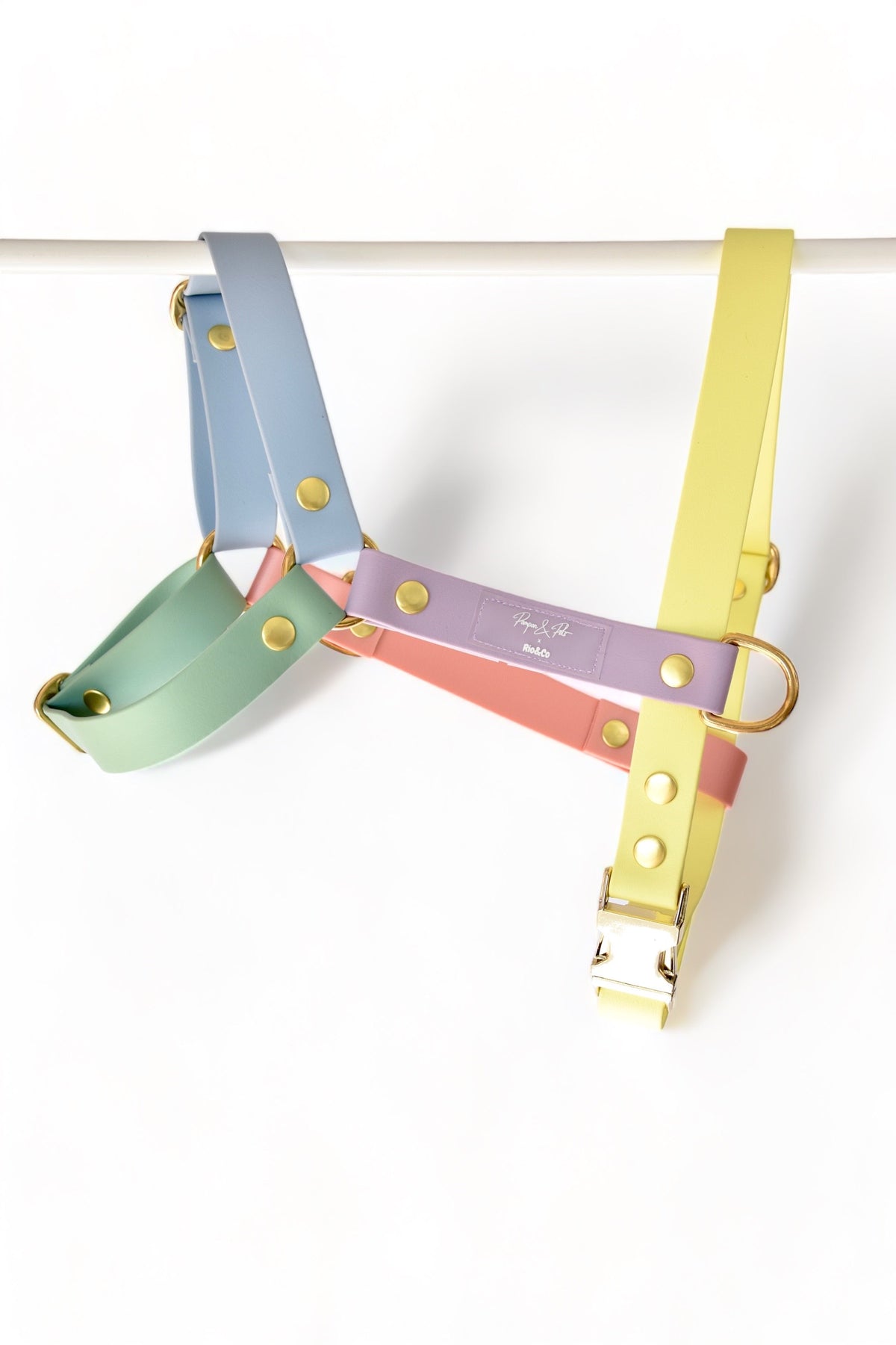 Harnais Rio&Co x Pompon&Pets Rainbow