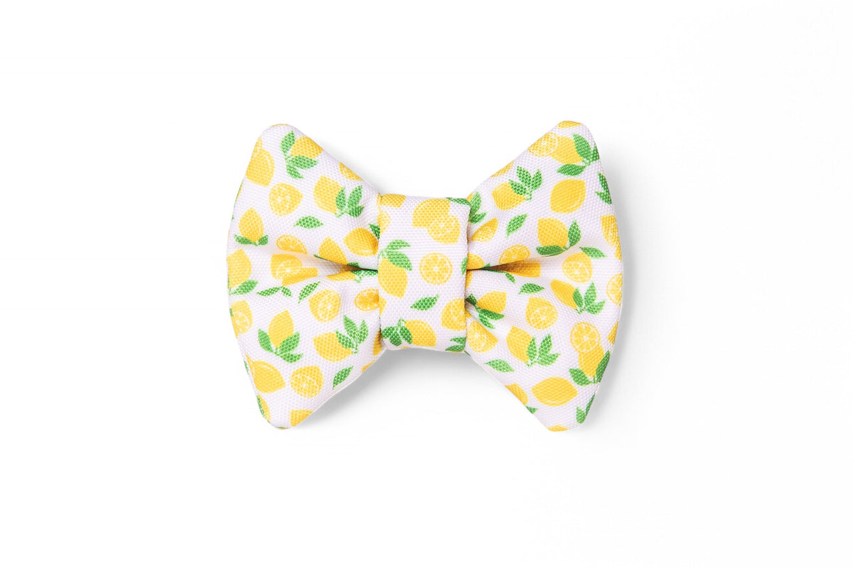 Nœud papillon Citron - tissu imperméable