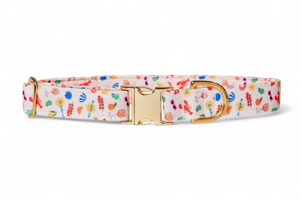 Dolce Vita Collar - waterproof fabric