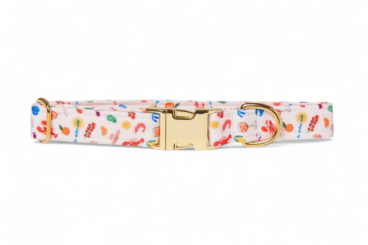 Dolce Vita Collar - waterproof fabric