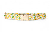 Collier Citron - tissu imperméable