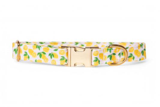 Collier Citron - tissu imperméable