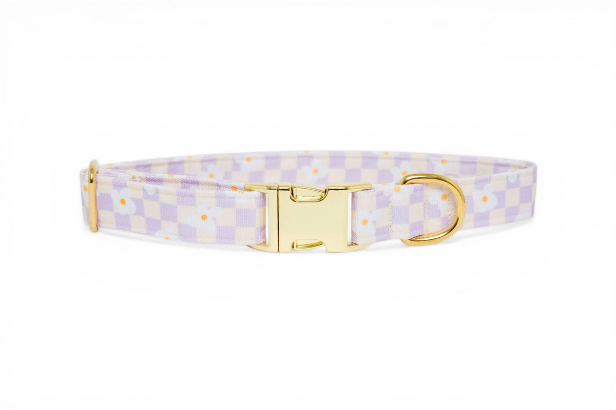 Collier Daisy - tissu imperméable