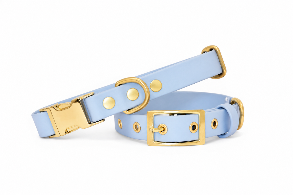 Collier Bleu - Biothane