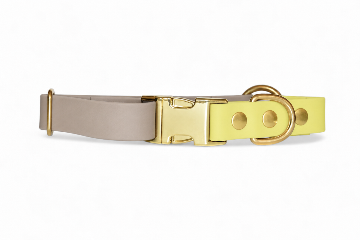 Collier Limoncello - Biothane