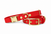 Collier Rouge - Biothane
