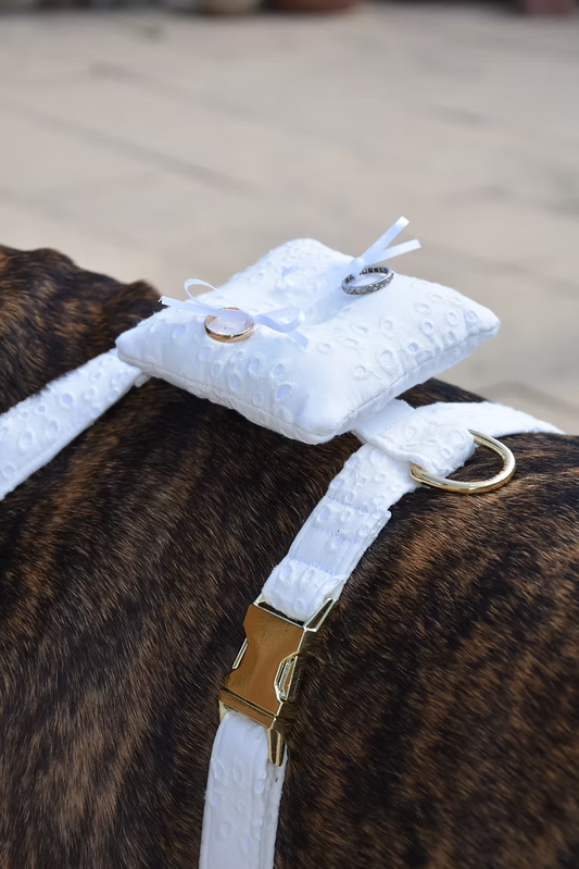 Wedding Harness