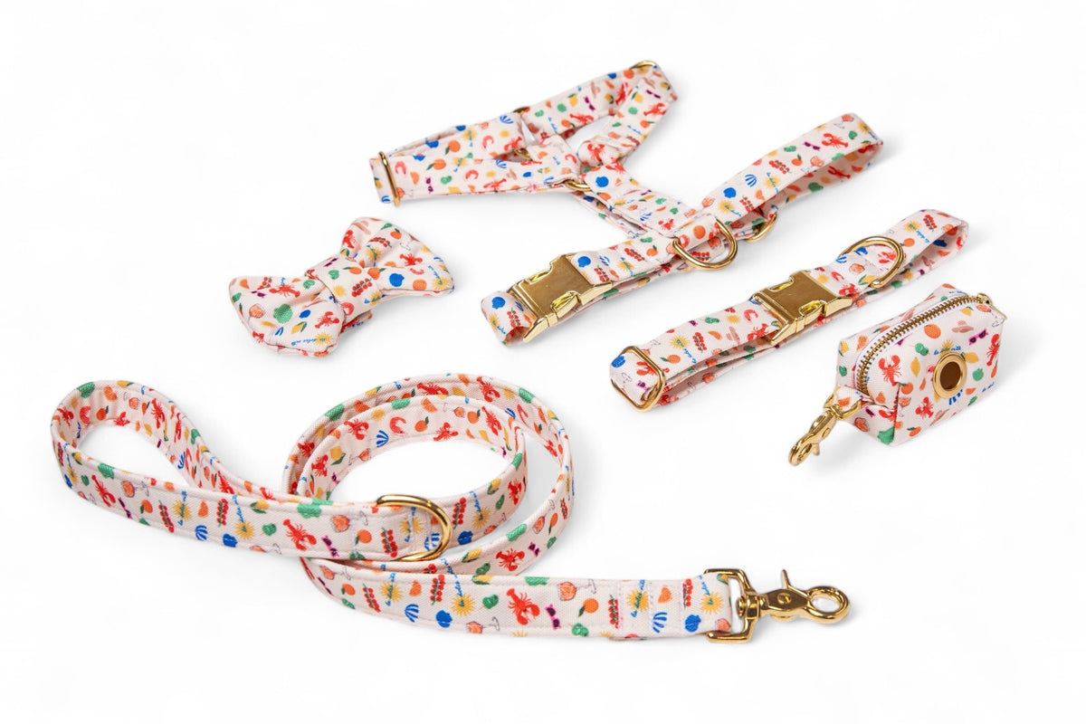Dolce Vita Harness - waterproof fabric