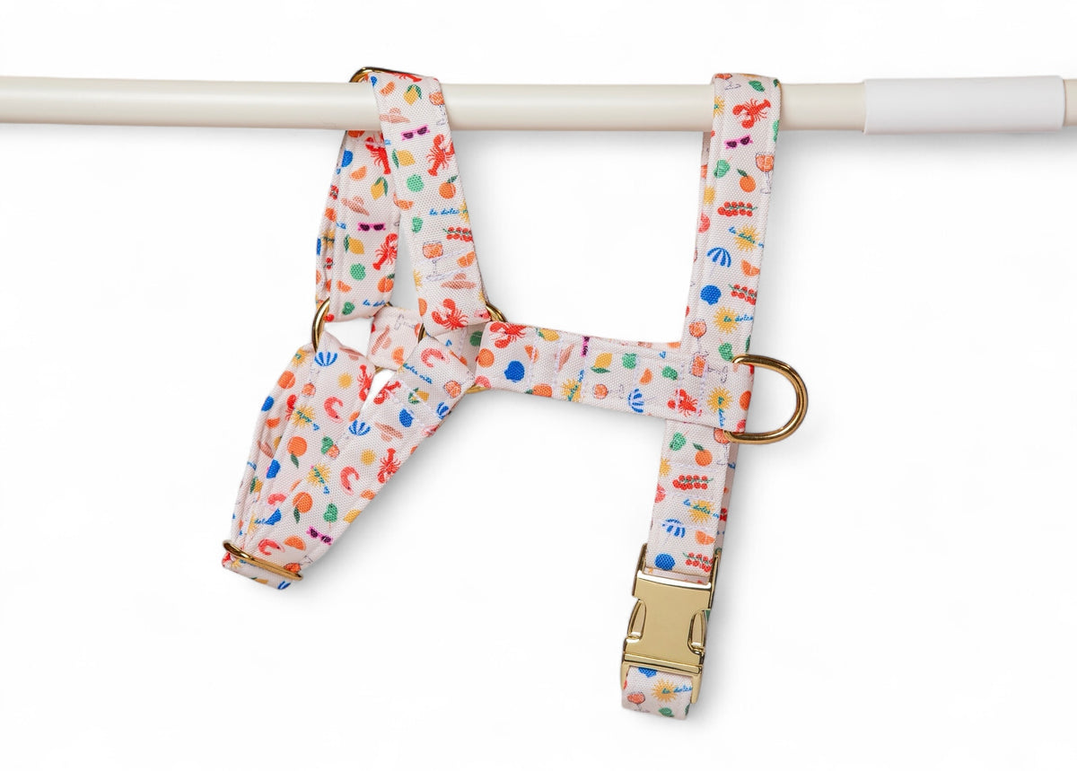 Dolce Vita Harness - waterproof fabric