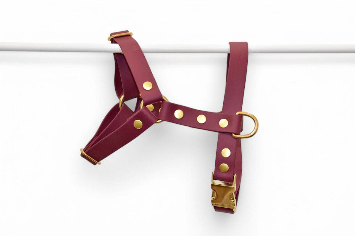 Harnais Bordeaux - Biothane