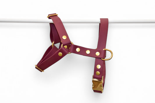Harnais Bordeaux - Biothane