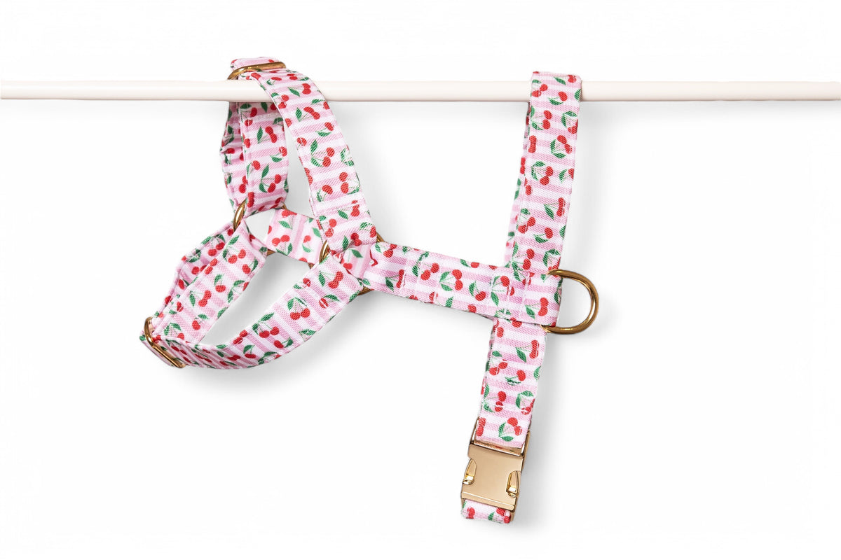 Cherry Harness - waterproof fabric