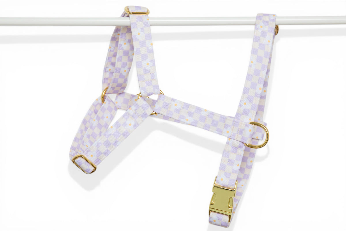 Harnais Daisy - tissu imperméable