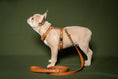Load image into the gallery viewer, Camel Harness - Biothane
