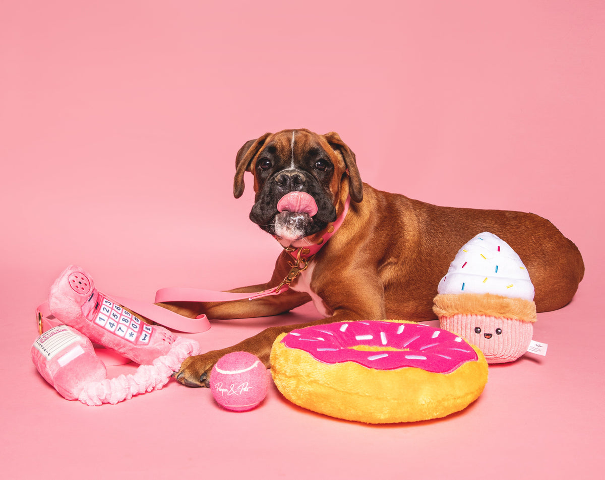 Carte cadeau Pompon&Pets
