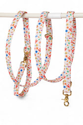 Dolce Vita Multi-position Leash - waterproof fabric