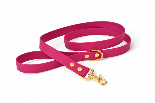 Raspberry Leash - Biothane