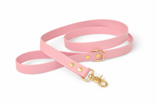 Laisse Rose - Biothane