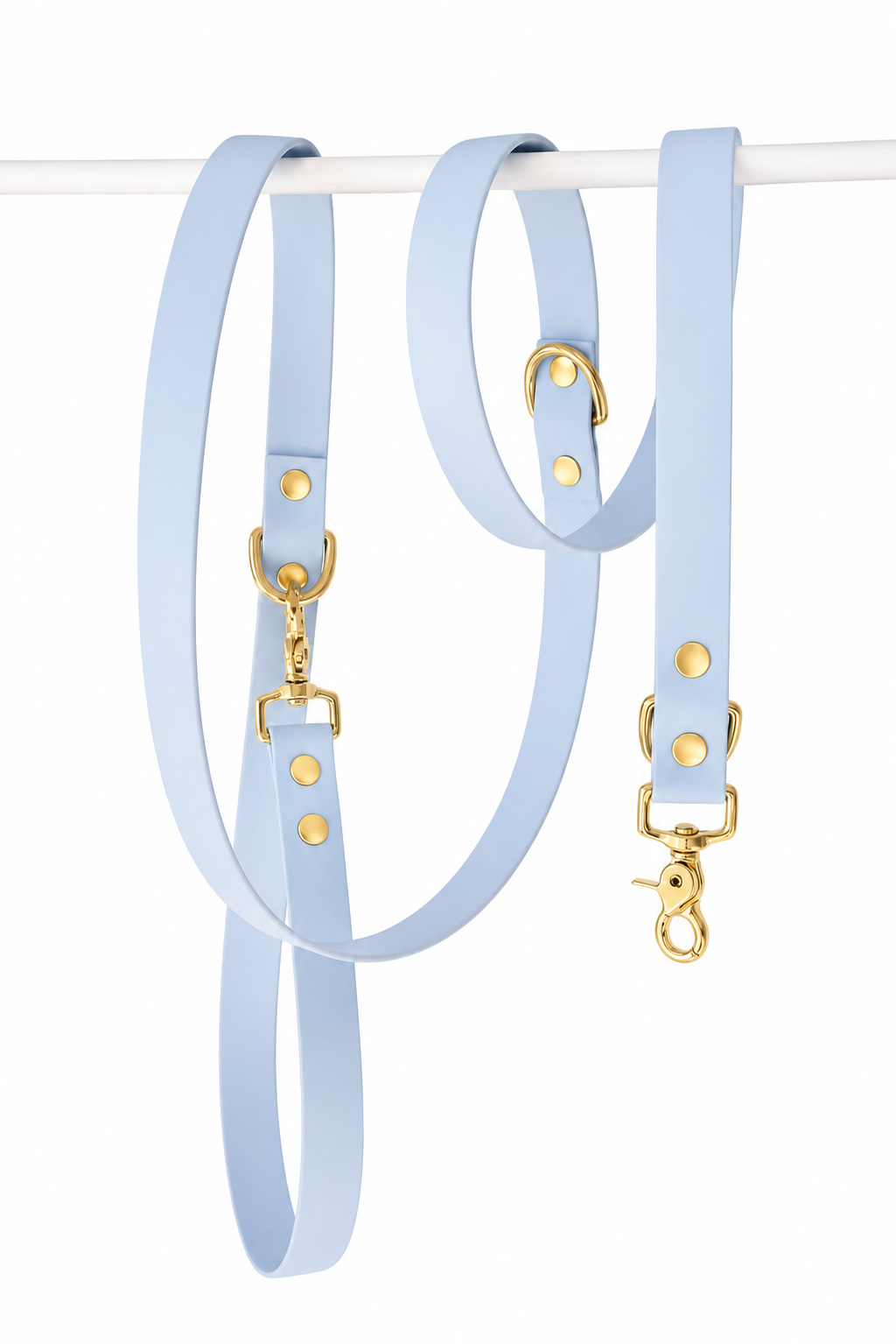 Blue Multi-position Leash - Biothane