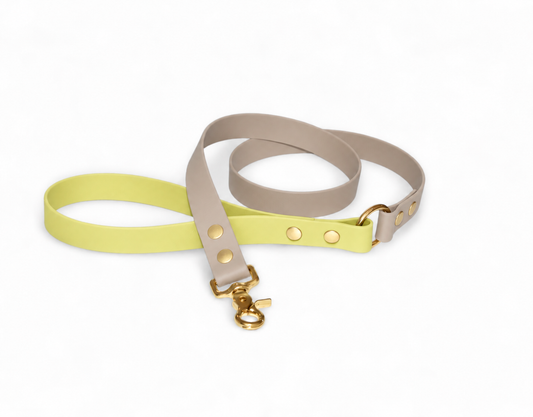 Laisse Limoncello - Biothane