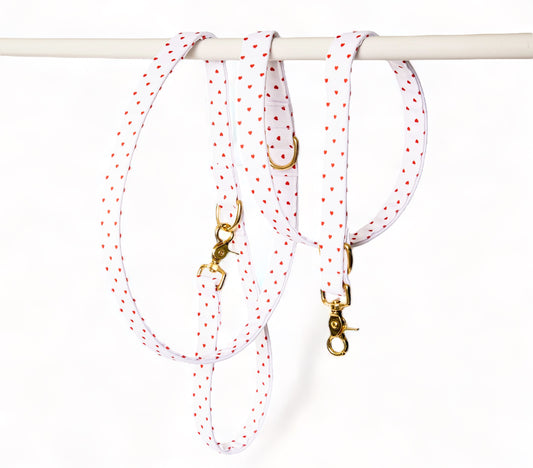 Laisse Multi-positions Pompon&Pets - tissu imperméable