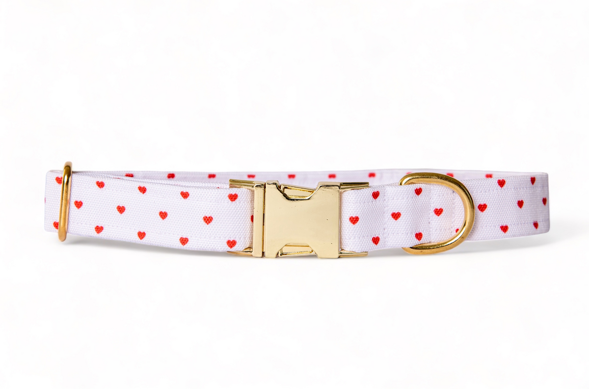 Collier Pompon&Pets - tissu imperméable