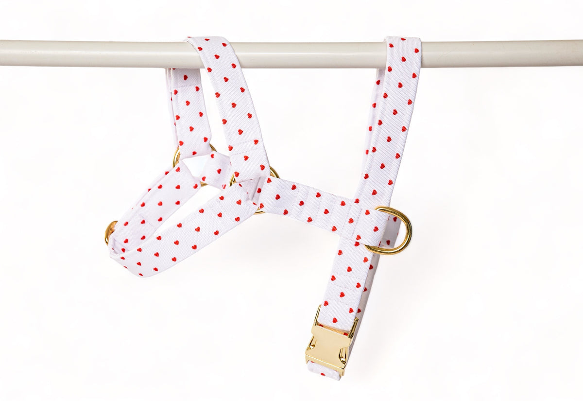 Harnais Pompon&Pets - tissu imperméable