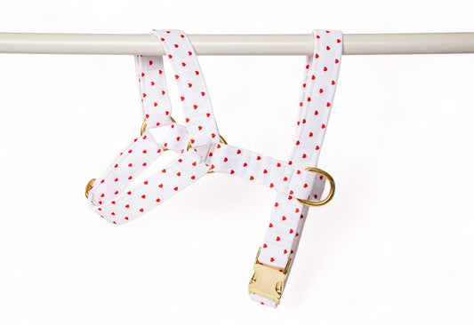 Harnais Pompon&Pets - tissu imperméable