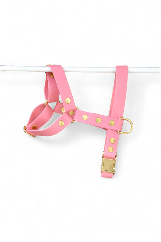 Harnais rose bonbon - Biothane